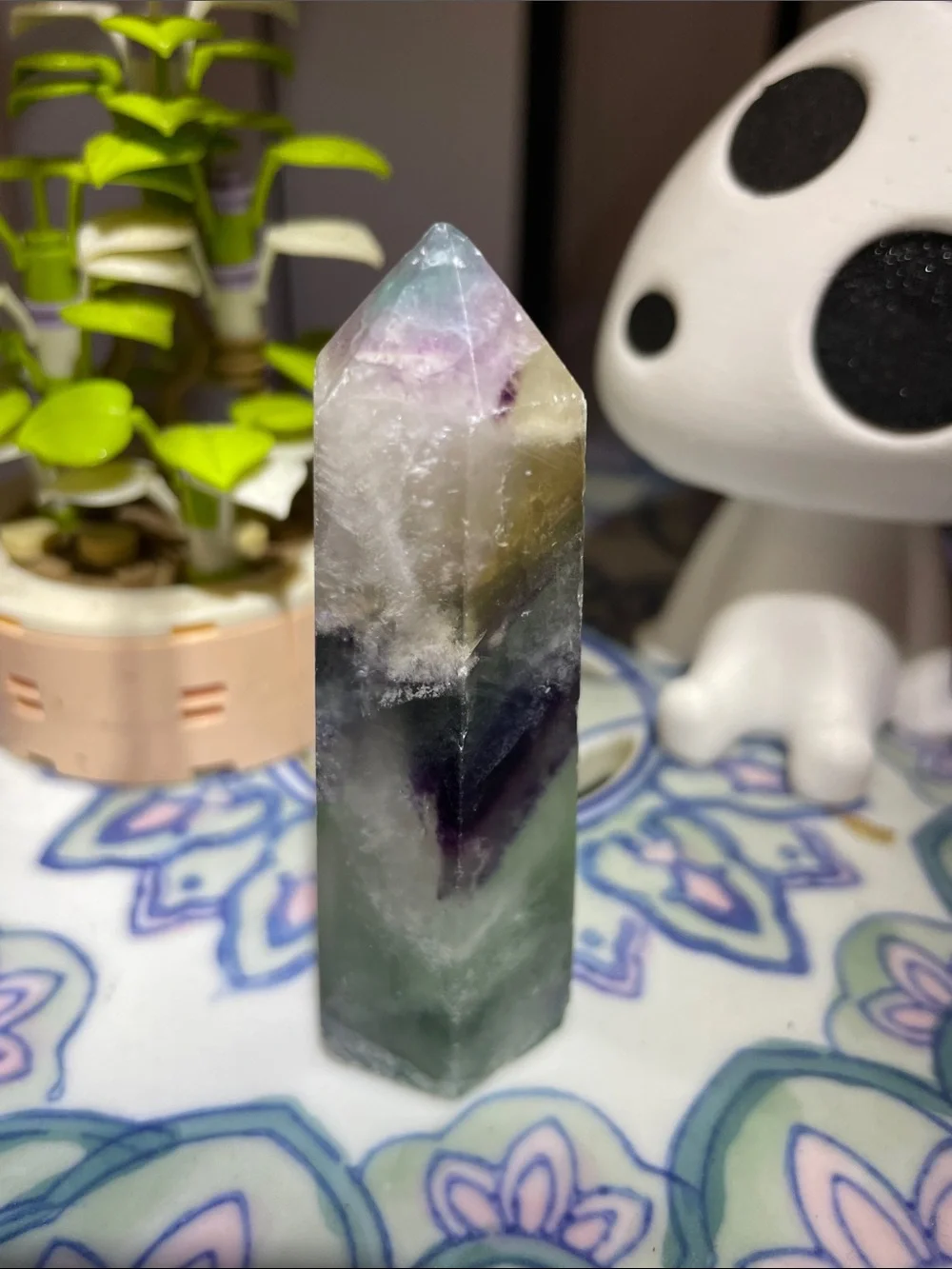 Rainbow Fluorite Bundle